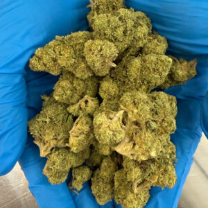 MyStache Green Crack 27.07% THCA Flower