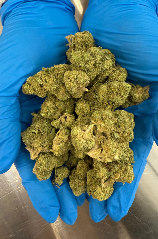 MyStache Green Crack 27.07% THCA Flower
