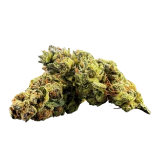Mystache BudgetBud Citradelic Sunset 20.62% THCA Flower