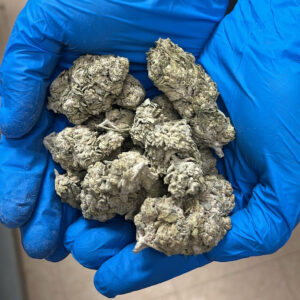 MyStache Platinum Skywalker OG 56.9% THCA Flower