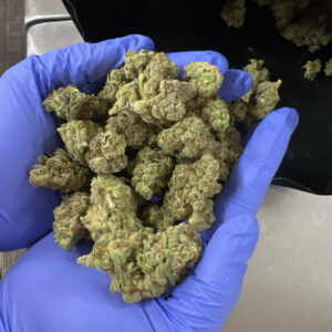 MyStache Sour Diesel 24.46% THCA Flower