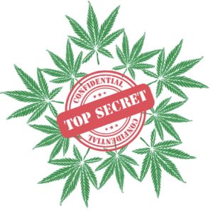 Secret Sale Tuesday!